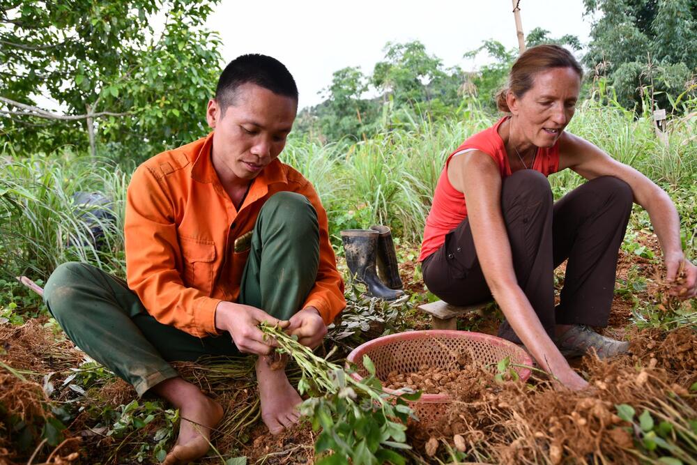 Participation aux tâches communautaires lors d'un séjour chez l'habitant au Vietnam
