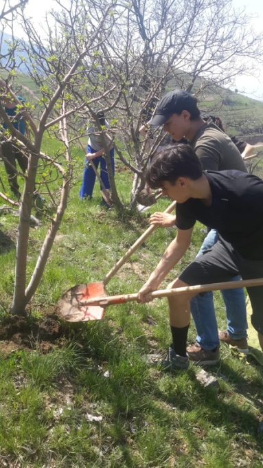 Travail agricole dans un verger de pommiers appartenant au père de Nozim, notre guide local Ouzbek