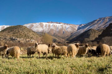 tourisme et actions solidaires au Maroc