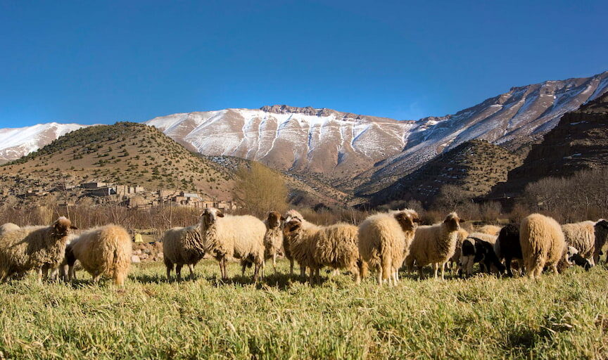 tourisme et actions solidaires au Maroc