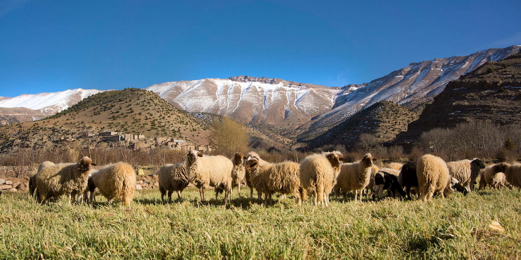 tourisme et actions solidaires au Maroc