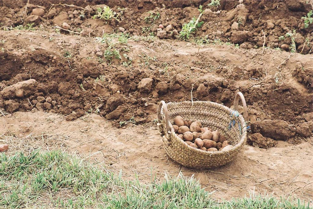 tourisme et actions solidaires au Maroc