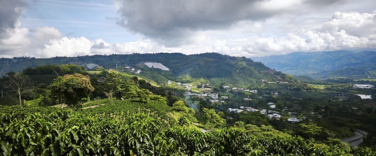 Colombie-Café-002