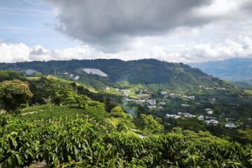 Colombie-Café-002
