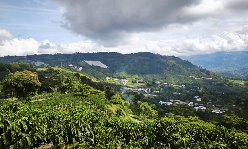 Colombie-Café-002
